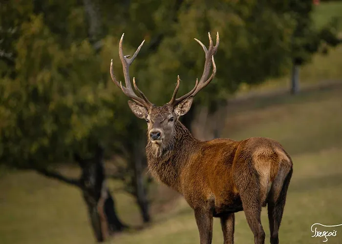 Hébergement de vacances Brochepierre 28 Pers- Vue Exceptionnelle - *